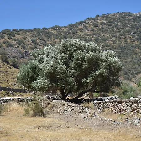 Private Stone House Near Orkos Beach